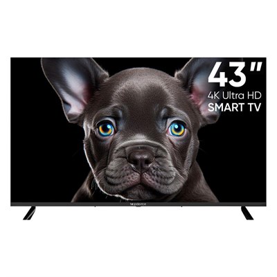 (э) TDTV43CS08U BK 2189761