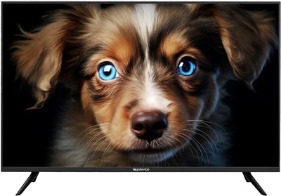 (м) TDTV43ES13U BK 2189766