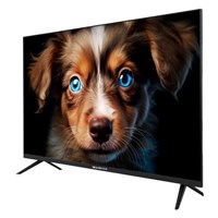 (э)  TDTV43ES13U BK 2189780