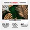 (м) 65NANOQLEDGH8700 2208019